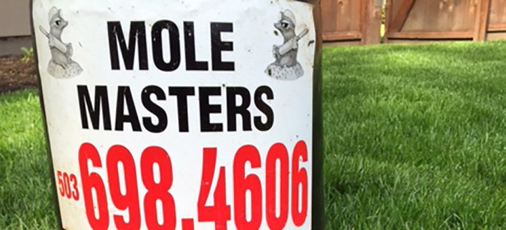 Contact Mole Masters for your mole trapping or no-poison extermination services.